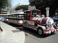Trenino (15)